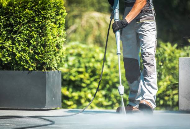 Best Factory Floor Cleaning  in Canton, TX